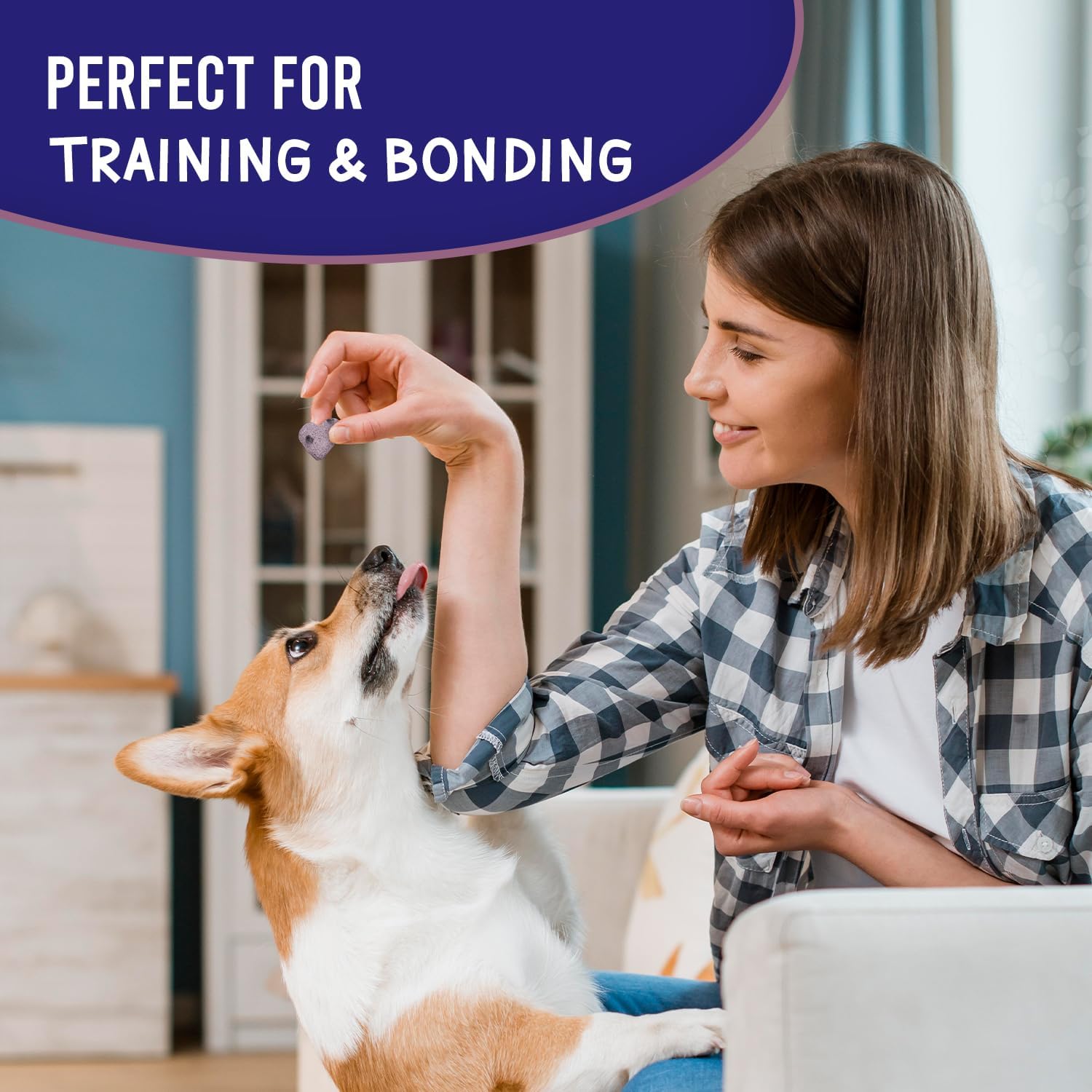 Much Loved Ultimate Dog Training Bundle - 6 Packs Premium Treats for Serious Trainers