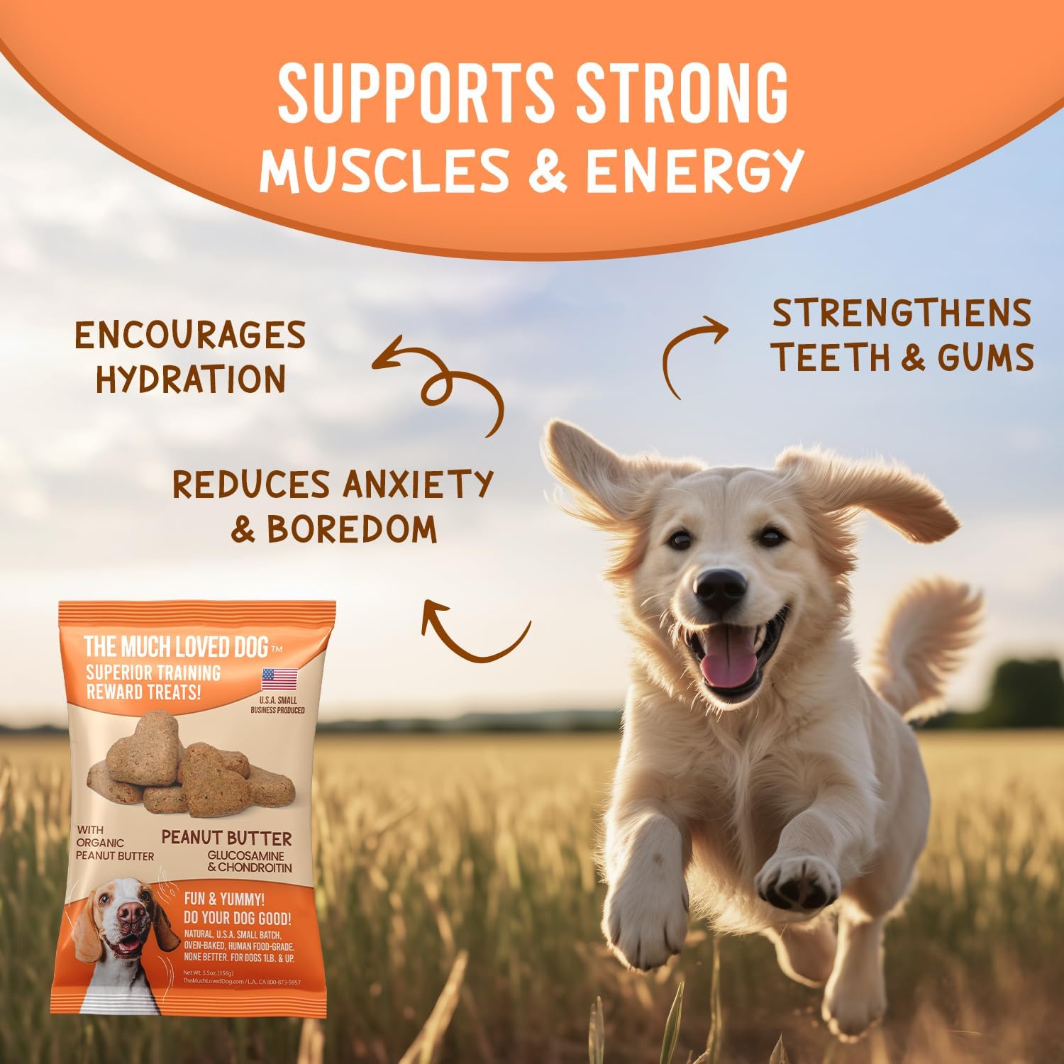 Much Loved Dog-Peanut Butter Joint Support Dog Treats - Glucosamine & Chondroitin for Mobility